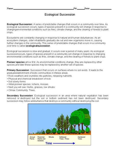 Understanding Ecological Succession - Treehugger - raincitystudios.com