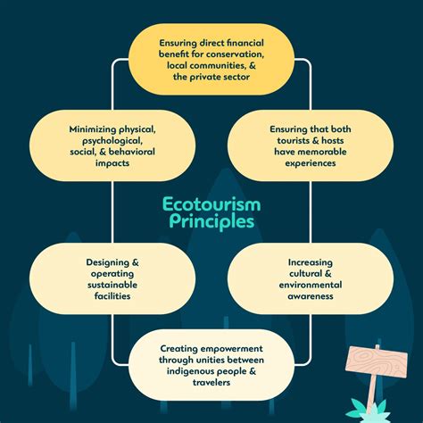 Understanding Ecotourism: Principles and Growth - BA … - wintechmobiles.com