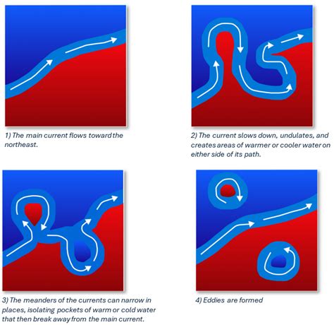 Understanding Eddies in Surfing and Ocean Currents - raincitystudios.com
