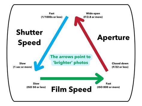 Understanding Film Speed (ISO) for Stunning … - balustradellc