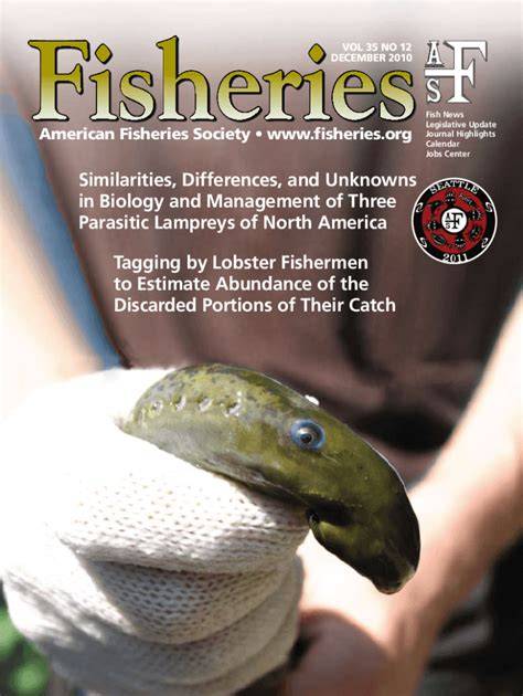 Understanding Fisheries Management in the United States - raincitystudios.com