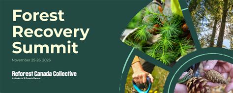 Understanding Forest Recovery Priorities, Management Options, and ... - raincitystudios.com