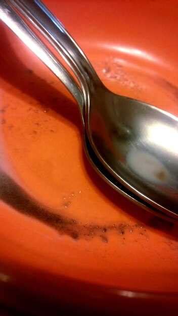 Understanding Fork Oil and Its Replacement Timing - balustradellc