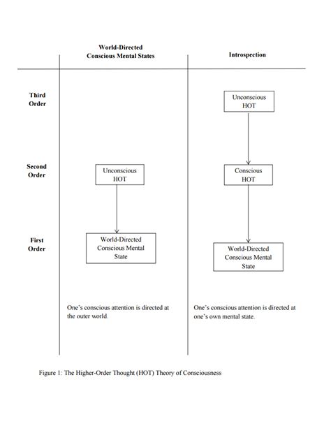 Understanding Higher-Order Theories of Consciousness - balustradellc