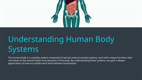 Understanding Human Body Systems - Prezi - muktibox.com