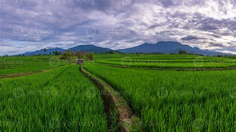 Understanding Indonesian Rural Tourism Destination Marketing Best ... - balustradellc