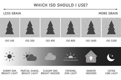 Understanding ISO in Photography: Mastering the … - balustradellc