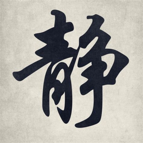 Understanding Jing: The Essence of Vitality in … - balustradellc