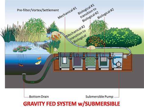 Understanding Koi Pond Filter System - Kodama Koi … - raincitystudios.com