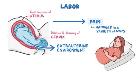 Understanding Labour & Employment Law in Singapore … - coolestguyplanet.net