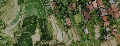 Understanding Land Conflict in India and Suggestions … - balustradellc