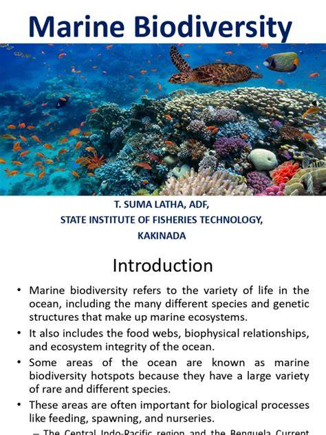 Understanding Marine Biodiversity | Oceanography - raincitystudios.com