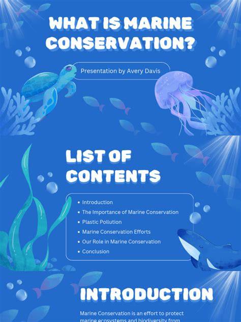 Understanding Marine Conservation Policies: A Legal Perspective - raincitystudios.com