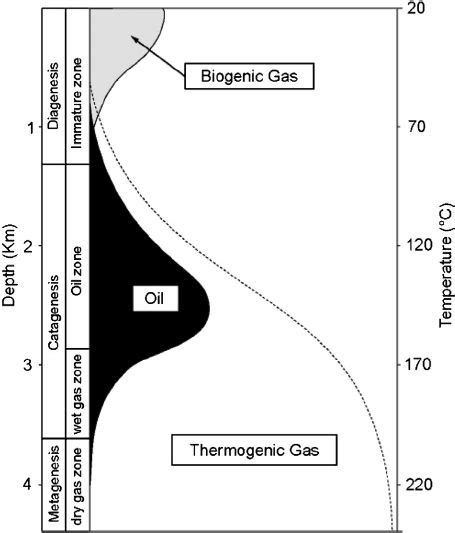Understanding Metagenesis: A Key Phase in Organic Matter - wintechmobiles.com