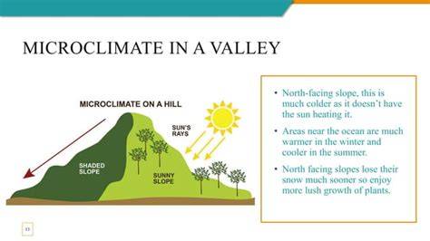 Understanding Microclimates - raincitystudios.com
