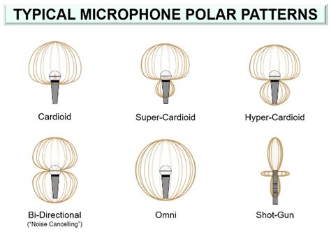 Understanding Microphone Polar Patterns and Their Applications - balustradellc