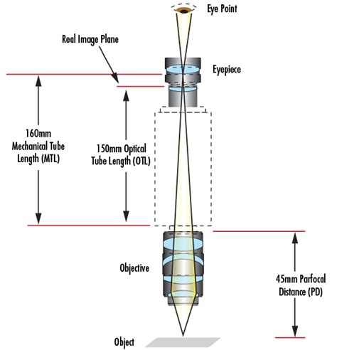 Understanding Microscopes and Objectives - Edmund … - wintechmobiles.com