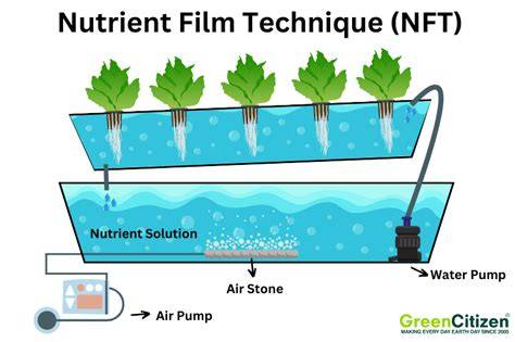 Understanding Nutrient Film Technique - Grow With Hydro - raincitystudios.com