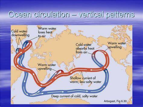 Understanding Ocean Circulation Patterns - raincitystudios.com