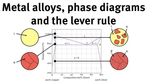 Understanding Phase Diagrams in Materials and Metallurgy - wintechmobiles.com