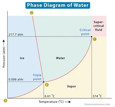 Understanding Phase Diagrams in Materials Science - wintechmobiles.com