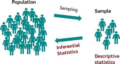 Understanding Populations through Sampling and Descriptive Statistics - wintechmobiles.com