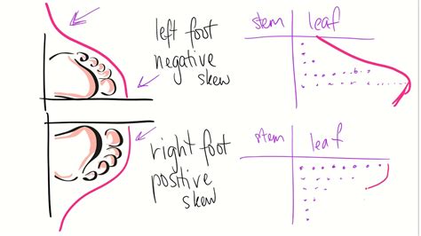 Understanding Positive Skewness and Stem-and-Leaf Plots - wintechmobiles.com