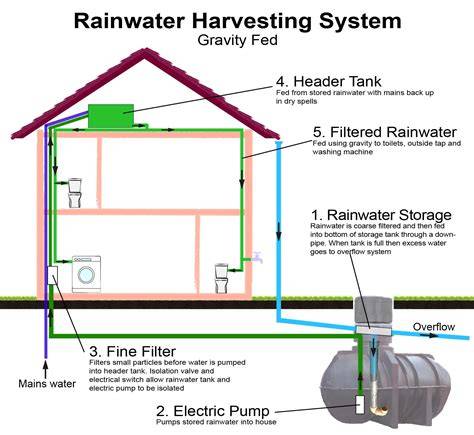 Understanding Rainwater Harvesting Systems - Genspark - raincitystudios.com