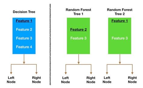 Understanding Random Forest - Towards Data Science - coolestguyplanet.net