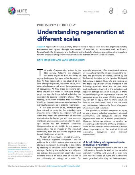 Understanding regeneration at different scales - PMC - raincitystudios.com
