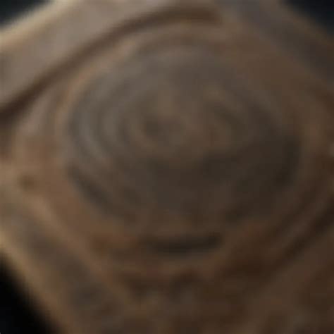 Understanding Religious Law and Inheritance Rules in Legal Contexts - balustradellc