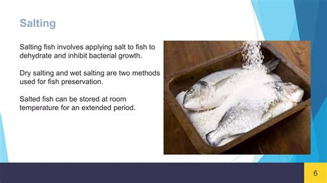 Understanding Salting Techniques for Fish Preservation - wintechmobiles.com