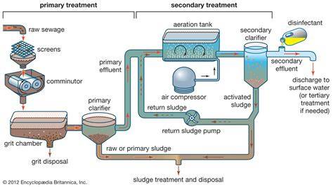 Understanding Sewerage: Key Processes in Wastewater Treatment - raincitystudios.com