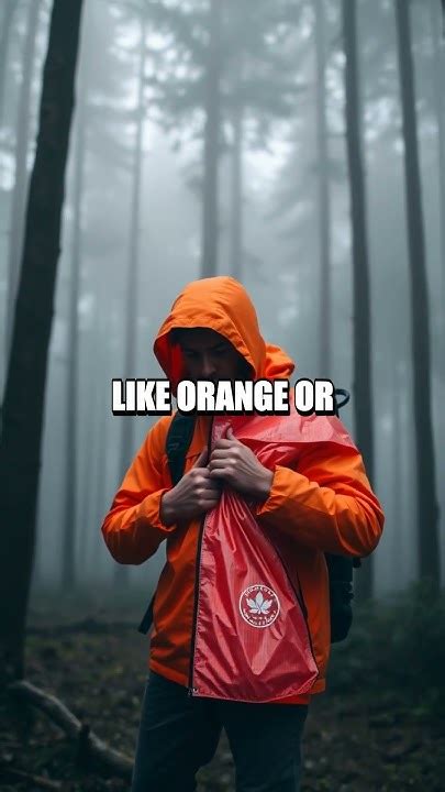 Understanding Signaling for Help in the Wild - balustradellc