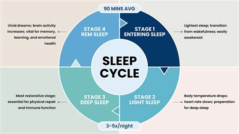 Understanding Sleep Cycles and How to Maximize Them - balustradellc