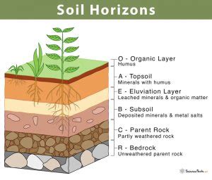 Understanding Soil Horizons, Properties, and Fertility Factors - wintechmobiles.com