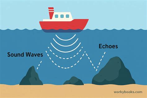 Understanding Sonar Technology - GIS Geography - wintechmobiles.com