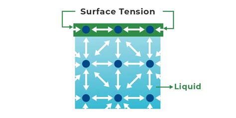 Understanding Surface Tension in Fluids - Thermal … - wintechmobiles.com