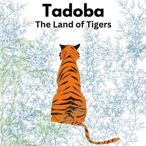 Understanding Tadoba Core & Buffer Zone - raincitystudios.com