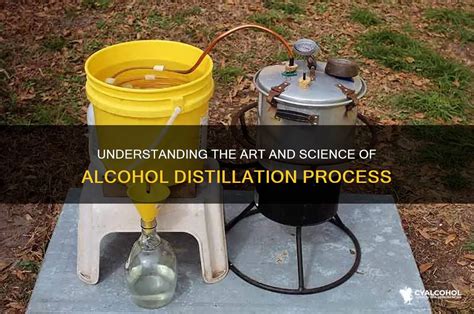 Understanding The Art And Science Of Alcohol Distillation Process - wintechmobiles.com