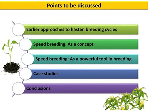 Understanding the Concept of Speed Breeding in Crop Improvement ... - muktibox.com