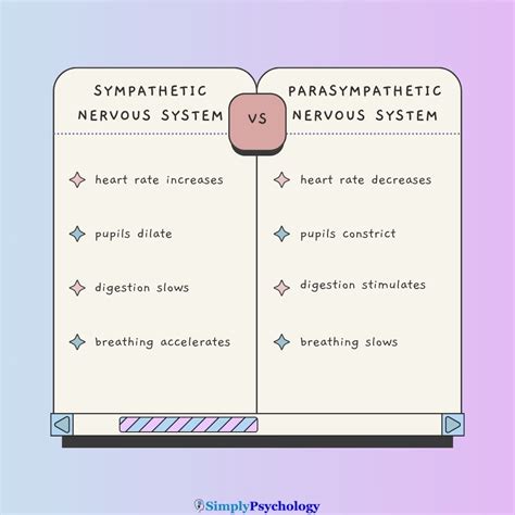 Understanding the Contrast between Parasympathetic and Sympathetic ... - muktibox.com