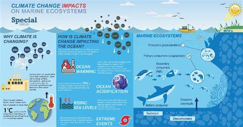 Understanding the Ecological Impacts of Marine … - raincitystudios.com