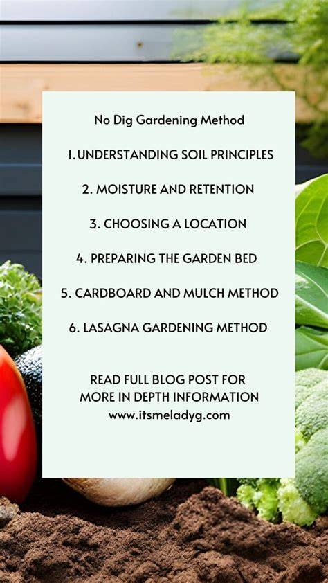 Understanding the essentials of a no-dig gardening - raincitystudios.com