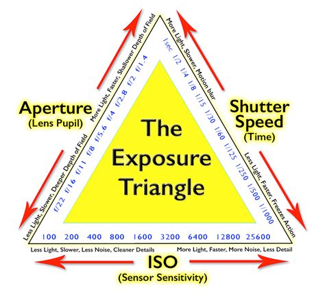 Understanding the Exposure Triangle: A … - balustradellc