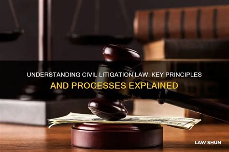Understanding the Key Aspects of Election Litigation Processes - balustradellc