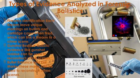 Understanding the Role of Ballistics and Firearms Evidence in Legal ... - wintechmobiles.com