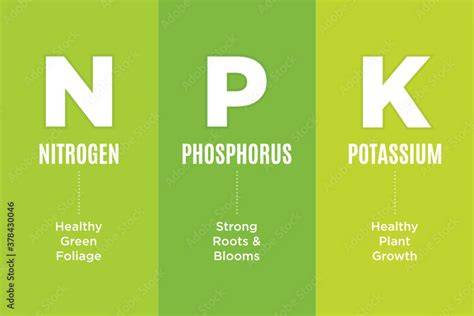 Understanding the Role of Nitrogen, Phosphorus, and Potassium in ... - raincitystudios.com