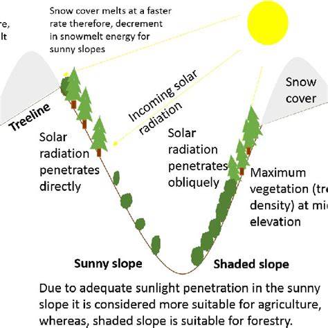 Understanding the role of slope aspect in shaping the vegetation ... - raincitystudios.com