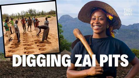 Understanding The Zai Pit Method | The Organic Guy - raincitystudios.com